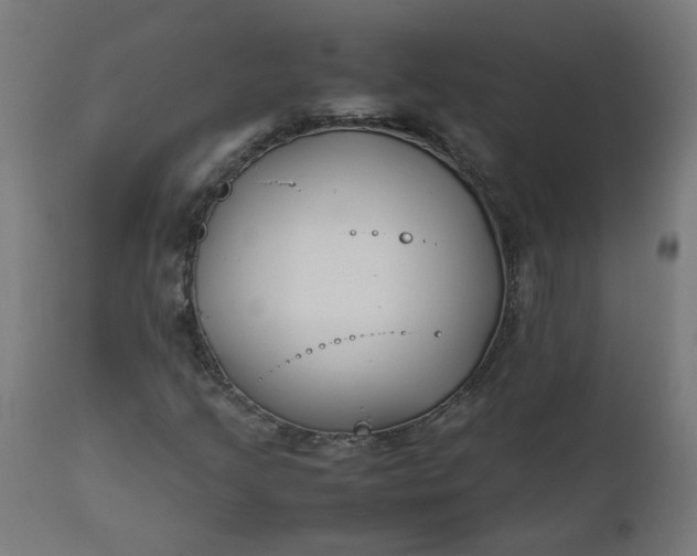 X0000111501205200907281243