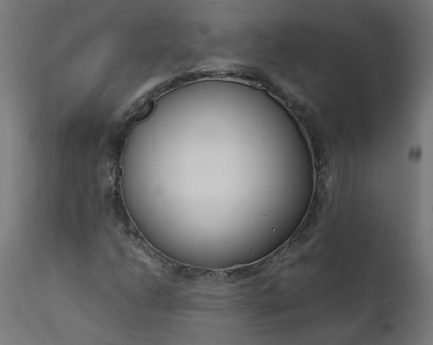 X0000111501206200907281243