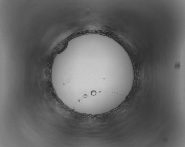 X0000111501207200907281243