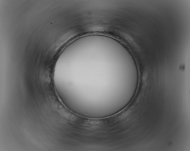 X0000111501209200907281243