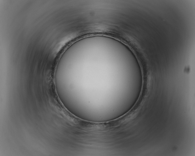 X0000111501210200907281243