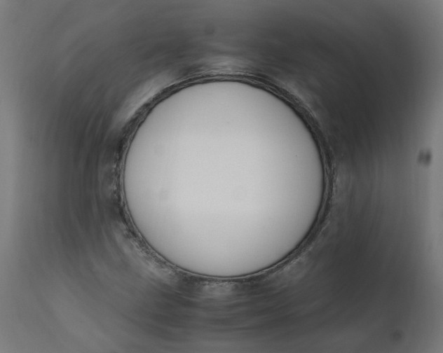 X0000111501211200907281243