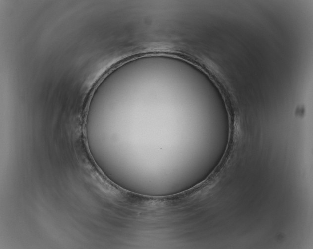 X0000111501212200907281243