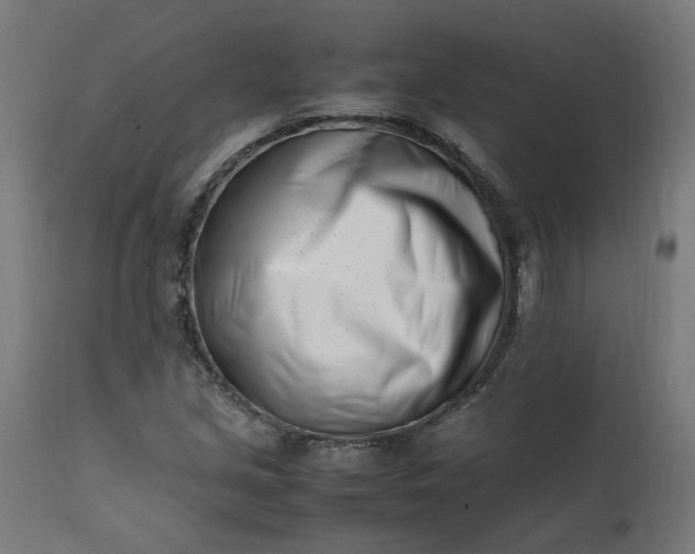 X0000111501213200907281243