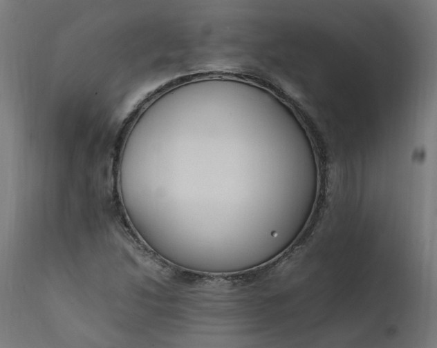 X0000111501214200907281243