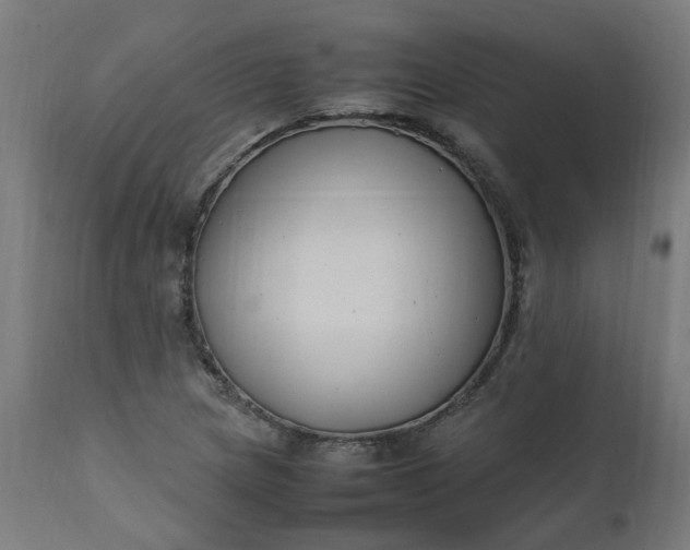 X0000111501217200907281243