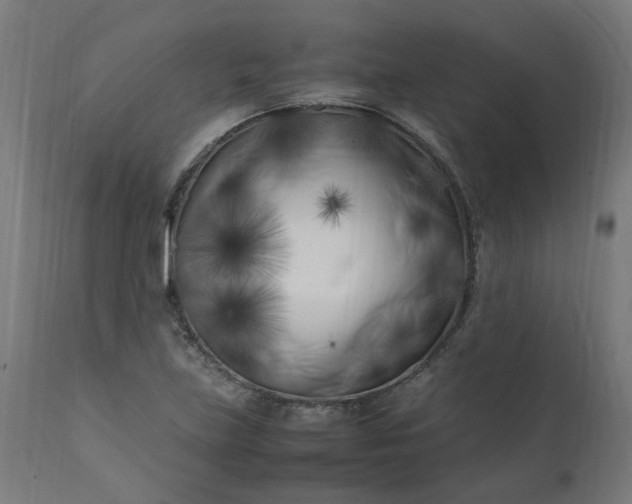 X0000111501219200907281243