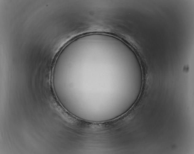 X0000111501220200907281243