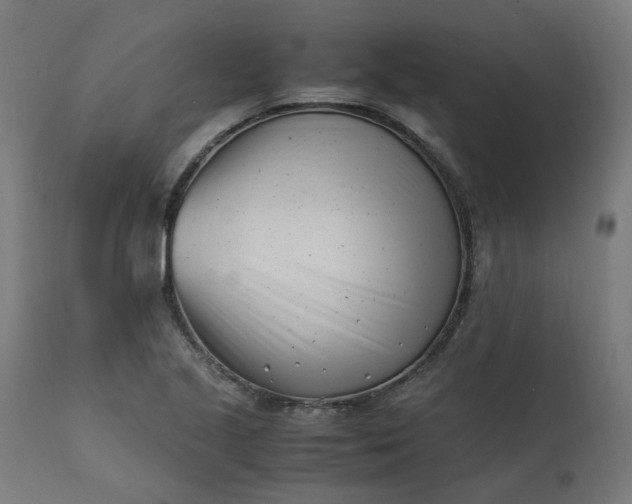 X0000111501221200907281243