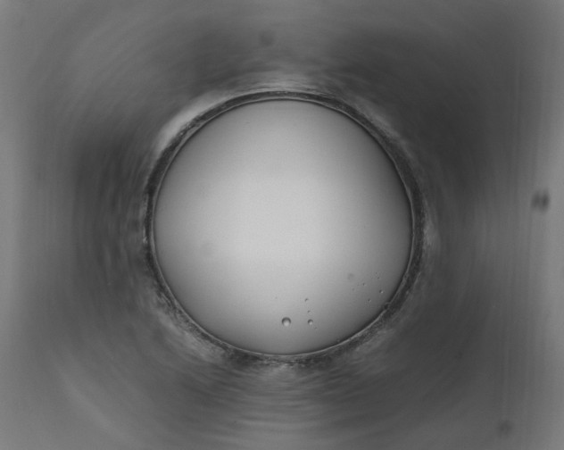 X0000111501222200907281243