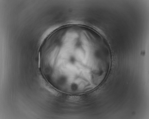 X0000111501223200907281243