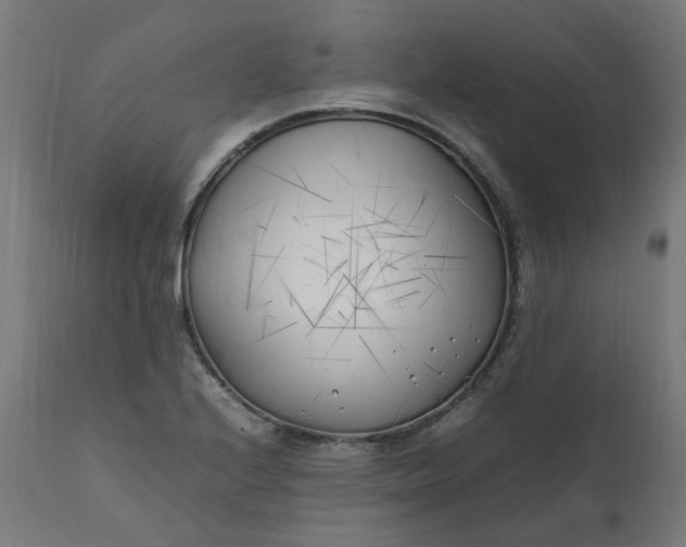 X0000111501224200907281243