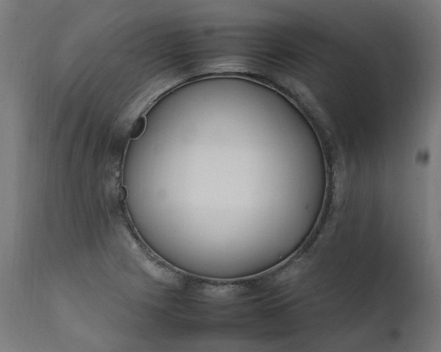 X0000111501225200907281243