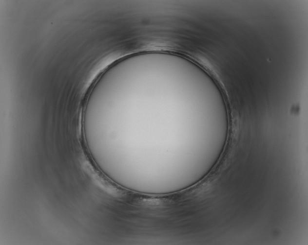 X0000111501227200907281243