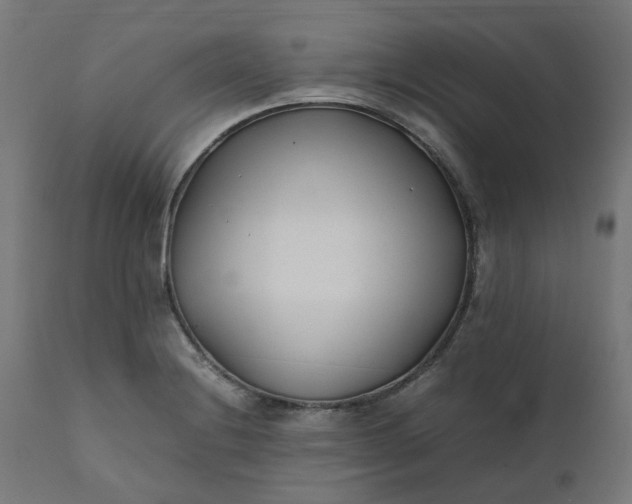 X0000111501228200907281243