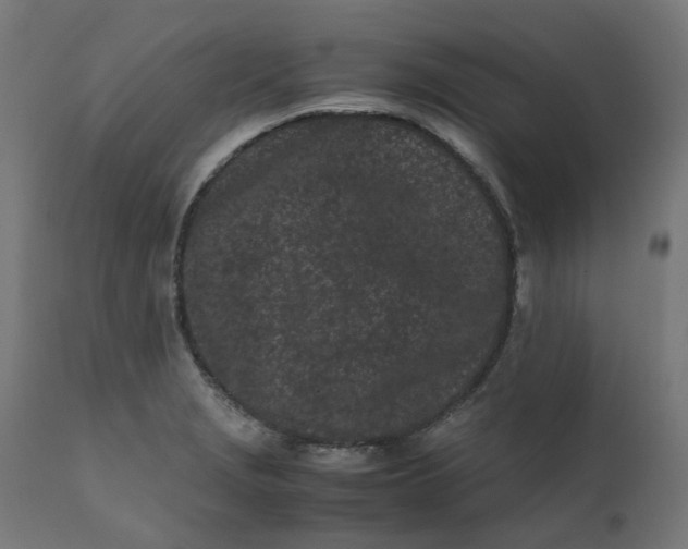 X0000111501229200907281243