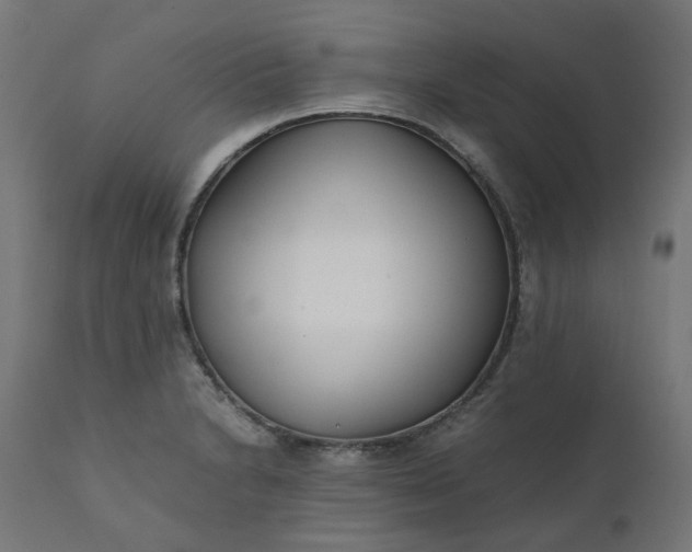 X0000111501230200907281243