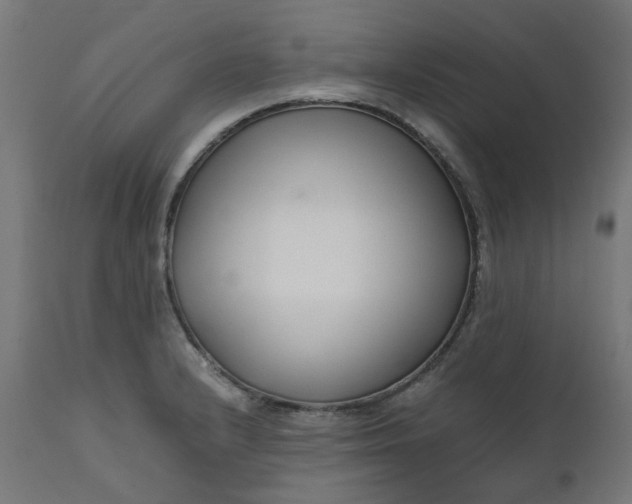 X0000111501232200907281243