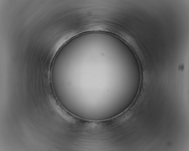 X0000111501234200907281244