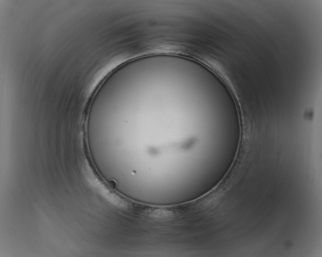 X0000111501235200907281244