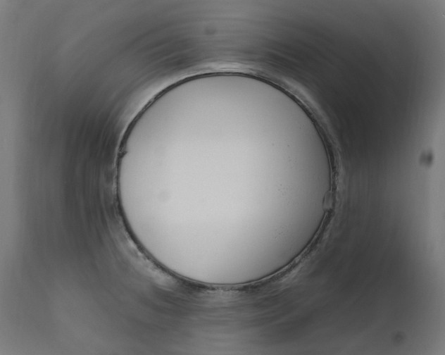 X0000111501236200907281244