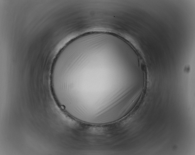 X0000111501237200907281244