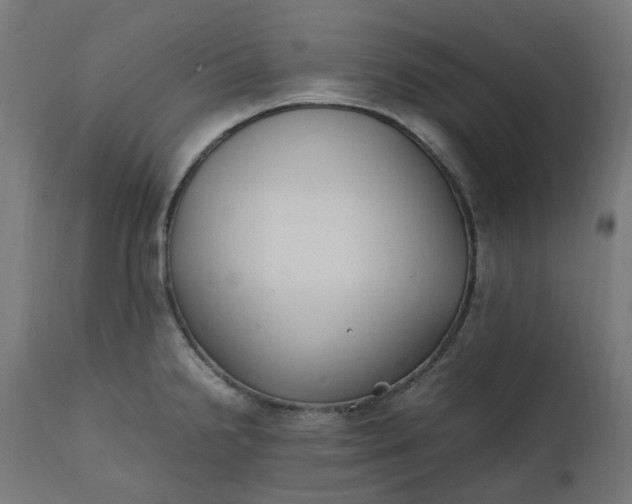 X0000111501238200907281244