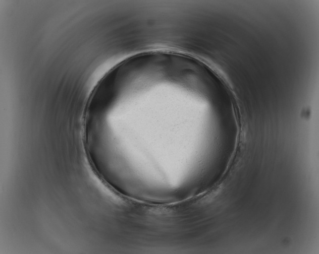 X0000111501239200907281244