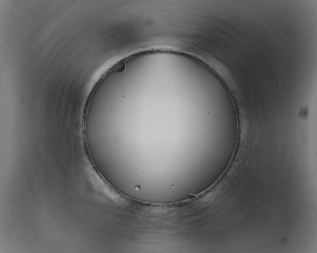 X0000111501240200907281244