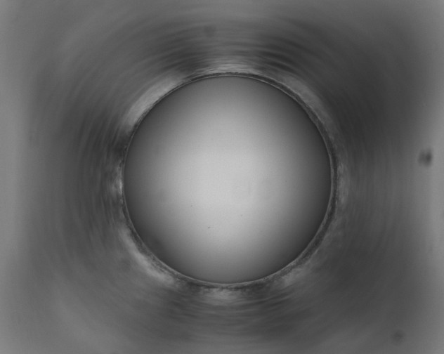 X0000111501241200907281244