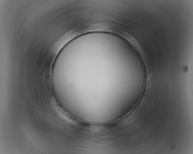 X0000111501242200907281244