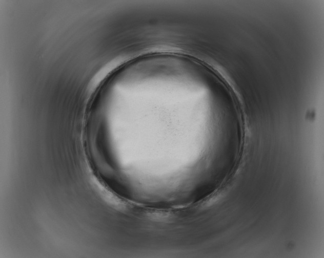 X0000111501245200907281244