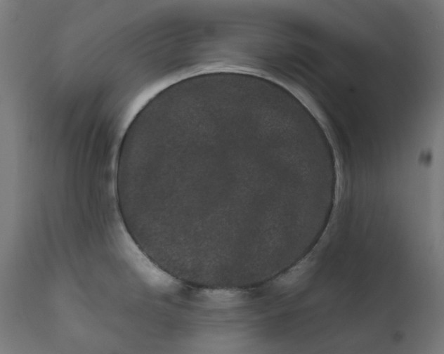 X0000111501246200907281244