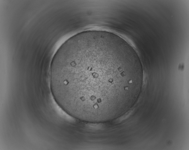 X0000111501247200907281244