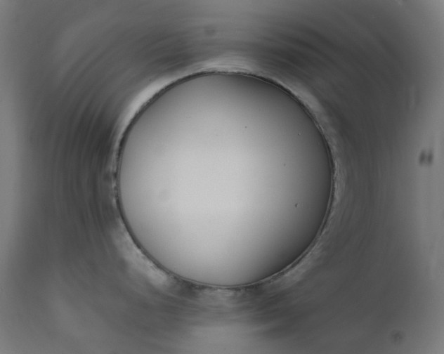 X0000111501248200907281244