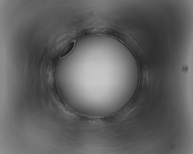 X0000111501250200907281243