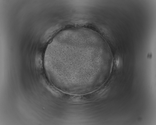 X0000111501252200907281243