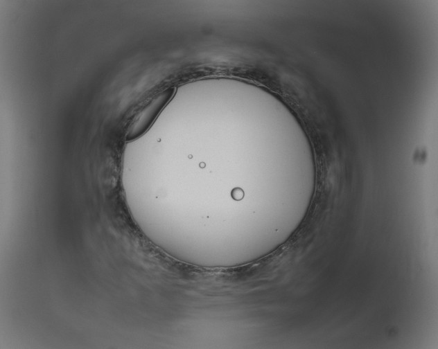 X0000111501253200907281243