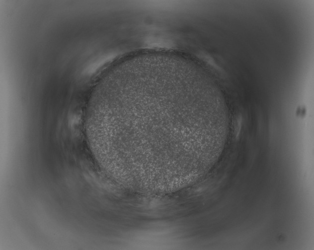 X0000111501254200907281243