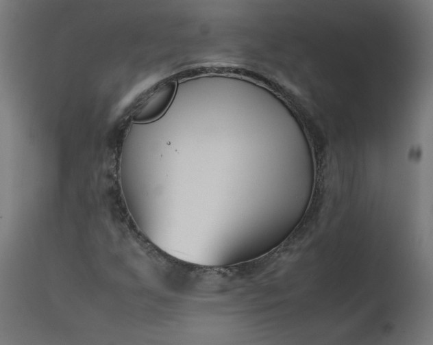 X0000111501255200907281243