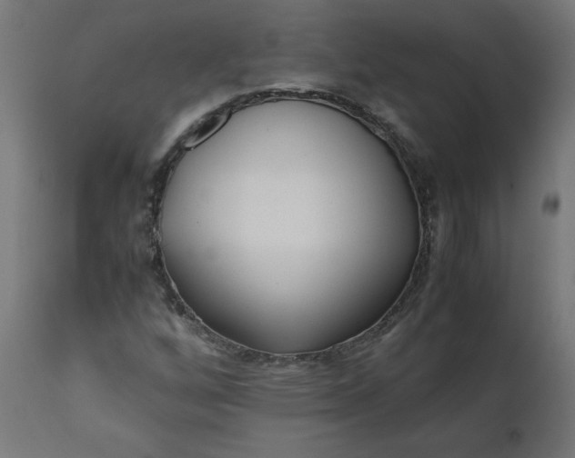 X0000111501256200907281243