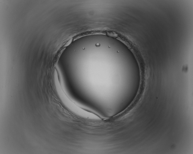 X0000111501257200907281243