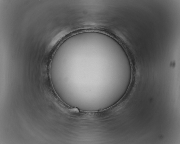 X0000111501259200907281243