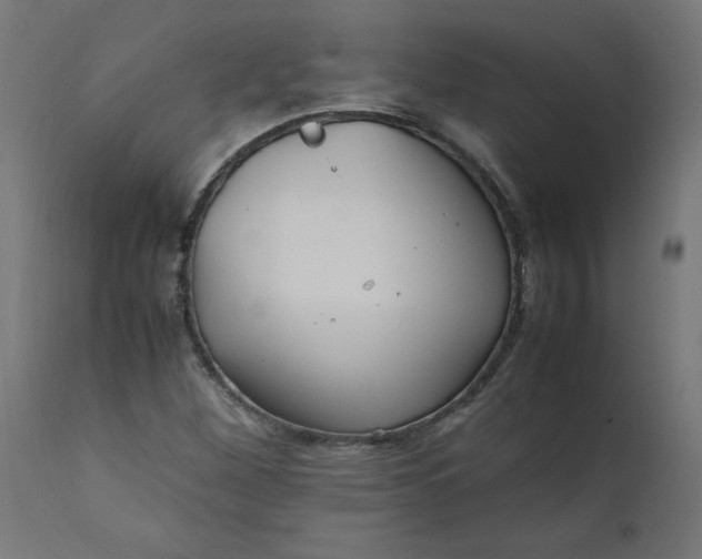 X0000111501260200907281243