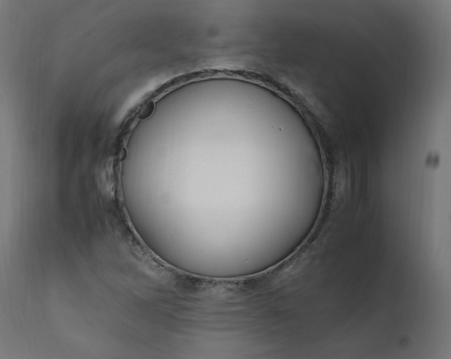 X0000111501262200907281243