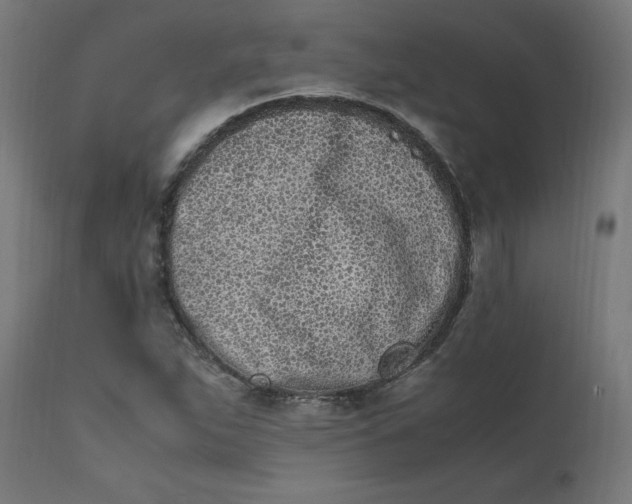 X0000111501263200907281243