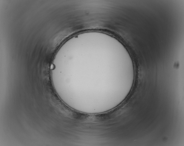 X0000111501265200907281243