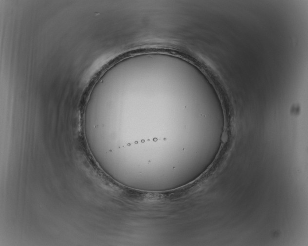 X0000111501267200907281243