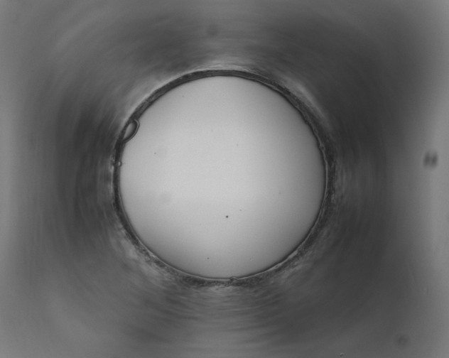 X0000111501268200907281243