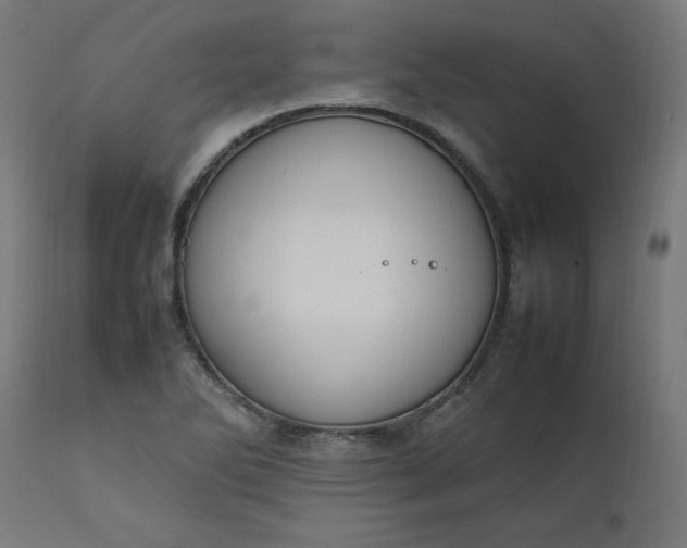 X0000111501270200907281243